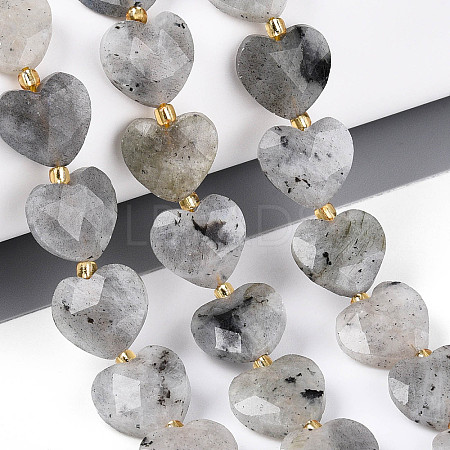 Natural Labradorite Beads Strands G-P592-B14-01-1