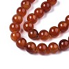 Natural Carnelian Beads Strands G-S259-32-12mm-3
