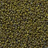 MIYUKI Round Rocailles Beads SEED-G010-RR4519-3