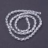 Glass Beads Strands GLAA-R024-6x4mm-12-2