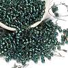 TOHO 6/0 Round Beads SEED-XTR06-0270-1