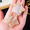 Natural Cherry Blossom Agate Star Healing Stones DJEW-PW0013-32-1