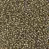 TOHO Round Seed Beads SEED-XTR15-0262-2