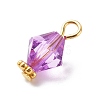 Transparent Acrylic Pendants PALLOY-JF01834-04-4