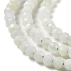 Natural Green Opal Beads Strands G-Z035-A02-02C-4