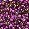 Glass Seed Beads X1-SEED-H002-B-D207-3