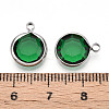 K9 Glass Charms GLAA-T023-37B-05-3