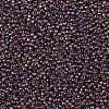 TOHO Round Seed Beads SEED-JPTR11-0166B-2