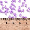 Baking Paint Glass Seed Beads SEED-A033-04T-4