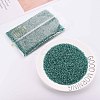 Glass Bugle Beads SEED-S032-08A-51A-2