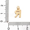 Rack Plating Brass Pendants KK-C065-02R-G-3