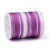 Segment Dyed Polyester Thread LS-NWIR-I013-C-08-2