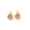 304 Stainless Steel Charms STAS-Z115-01G-12-1