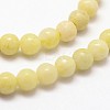 Natural Chrysocolla Beads Strands G-N0198-01-2mm-3