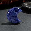 Natural Sodalite Palm Stone Massager PW-WGEE13D-13-1