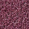 MIYUKI Delica Beads SEED-MY11-DB0283-3