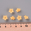 Transparent Acrylic Beads PL554-07-5