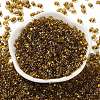 Glass Seed Beads SEED-L011-02A-04-2