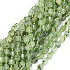 Natural Prehnite Beads Strands G-O201B-19-2