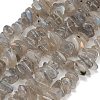 Natural Labradorite Beads Strands GG-CBAC61B-C06-01-2