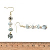 Natural Larimar Dangle Earrings EJEW-JE07529-5