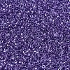MIYUKI Delica Beads X-SEED-J020-DB0906-3