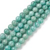 Natural Amazonite Beads Strands X-G-F461-12-6mm-01-1