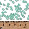Glass Seed Beads SEED-H002-E-A1417-4