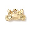 Alloy Charms LS-FIND-Z101-04G-04-1