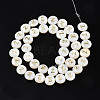 Natural Freshwater Shell Beads SHEL-S276-168Z-2