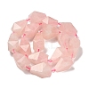 Natural Rose Quartz Beads Strands G-NH0005-B09-01-3