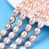 Natural Cultured Freshwater Pearl Beads Strands PEAR-N012-07O-1