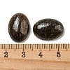 Natural Bronzite Cabochons G-C115-01A-21-3
