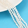 Natural Cultured Freshwater Pearl Beads Strands PEAR-P064-20E-05A-1