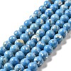 Synthetic Turquoise and Sea Shell Assembled Beads Strands G-D482-01C-04-2