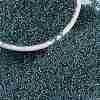 MIYUKI Round Rocailles Beads SEED-JP0010-RR1824-1