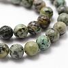 Natural African Turquoise(Jasper) Beads Strands G-D840-15-10mm-3