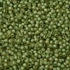 TOHO Round Seed Beads SEED-XTR11-0946FM-2