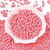 Opaque Baking Paint Glass Seed Beads SEED-T008-02H-2