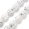 Natural Howlite Beads Strands G-B106-B25-01-1