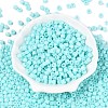Opaque Baking Paint Glass Seed Beads SEED-T008-02N-2