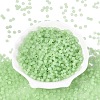 FGB Frosted Transparent Glass Seed Beads SEED-N013-04A-08-2