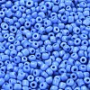 Glass Seed Beads SEED-A010-3mm-43B-3