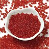 Transparent Colours Glass Seed Beads SEED-P006-02A-06-2