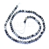 Natural Hawk's Eye Beads Strands G-I279-E14-03-2