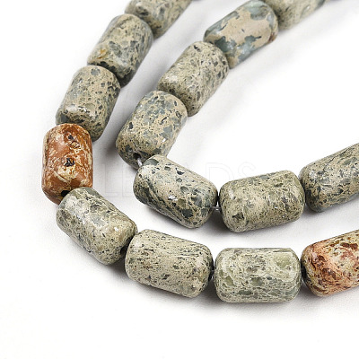 Natural Variscite Beads Strands G-N346-01B-14-1