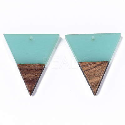 Transparent Resin & Walnut Wood Pendants RESI-T035-06B-A-1