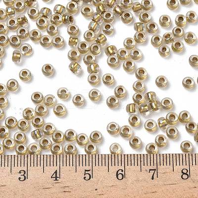 TOHO 6/0 Round Beads X-SEED-TR06-0262-1