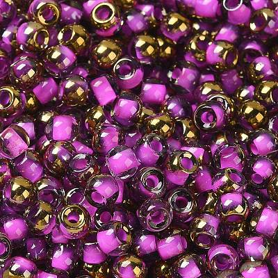 Glass Seed Beads X1-SEED-H002-B-D207-1