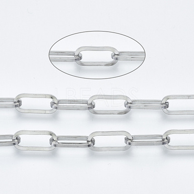 Tarnish Resistant 304 Stainless Steel Paperclip Chains CHS-S001-04A-P-1
